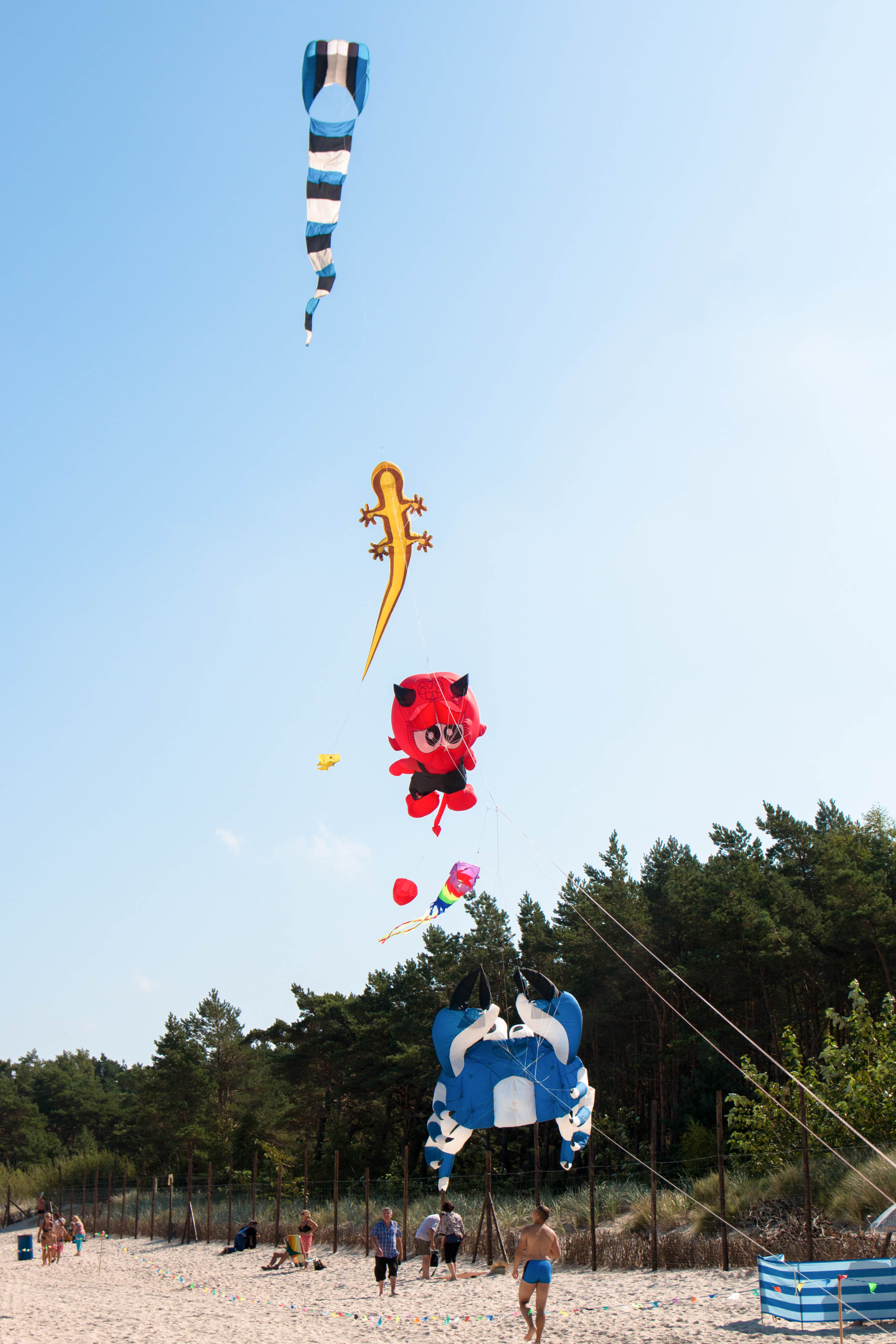Leba Poland kite festival